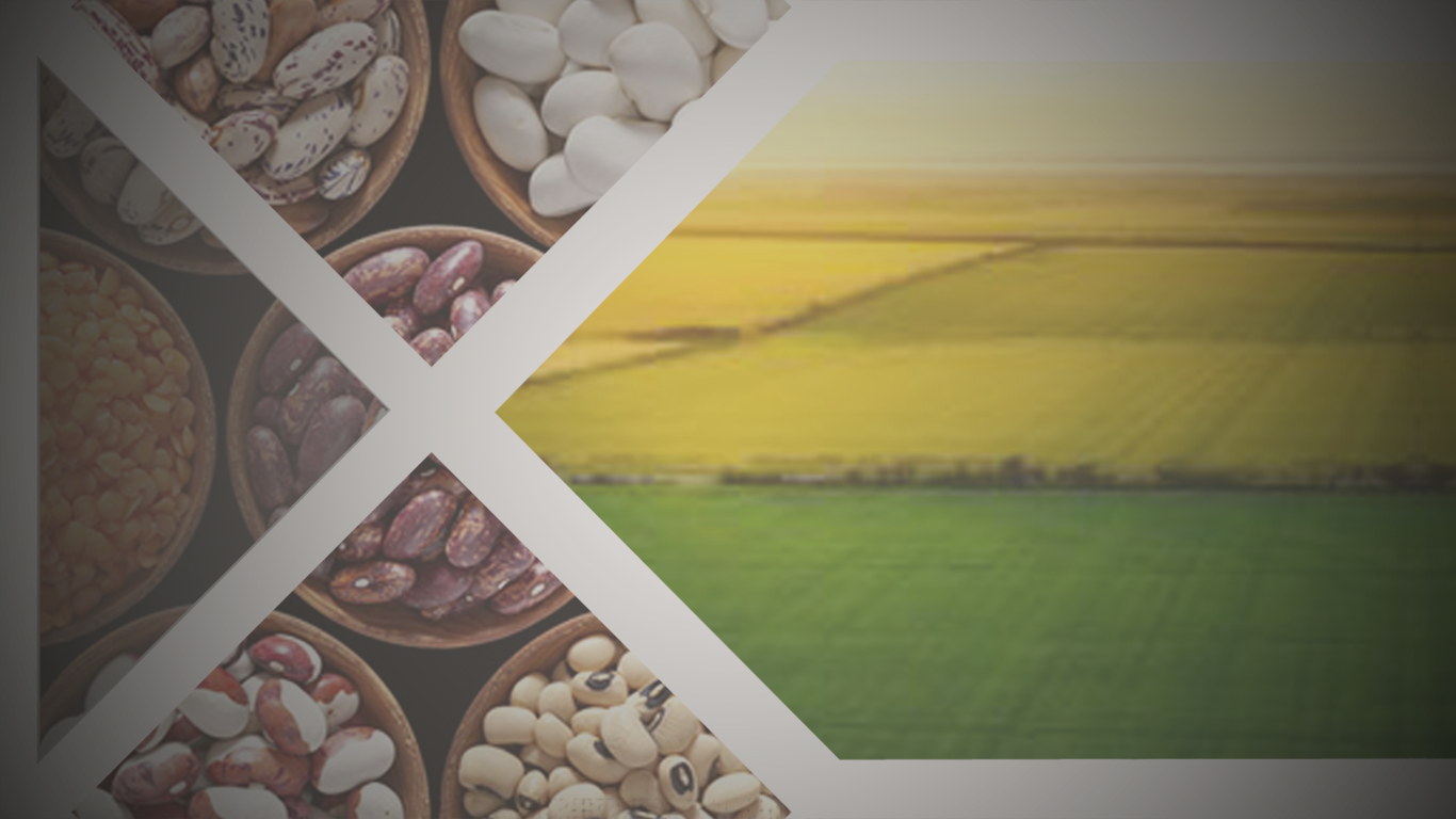 AGRICULTUREL PRODUCTS